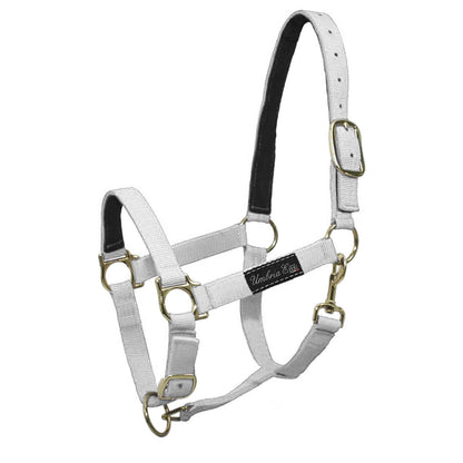 NYLON HALTER WITH LEATHER REINFORCEMENT