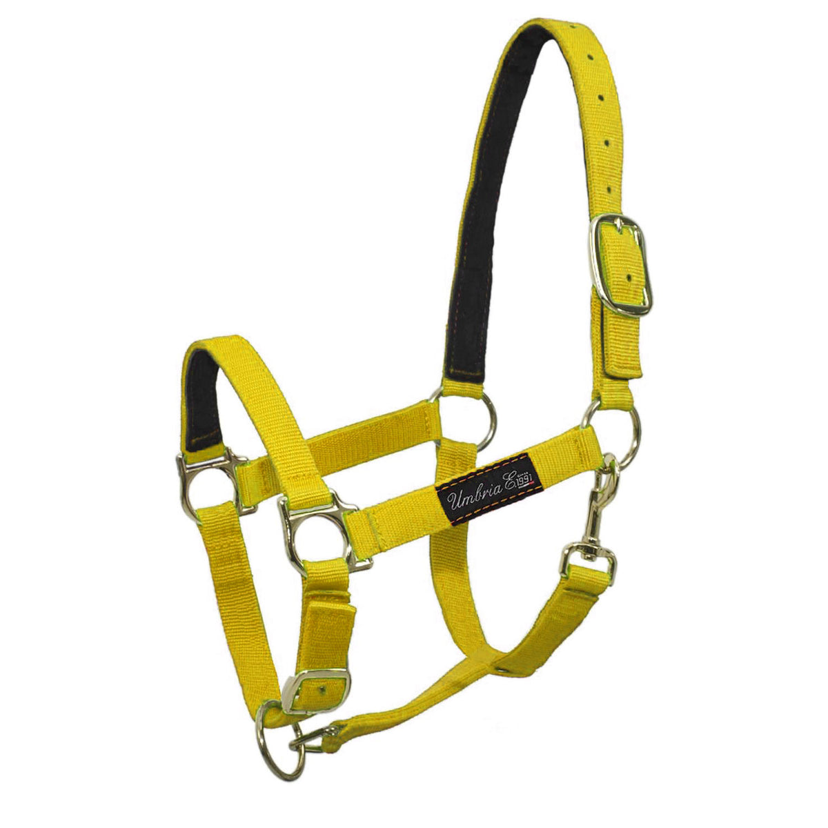 NYLON HALTER WITH LEATHER REINFORCEMENT