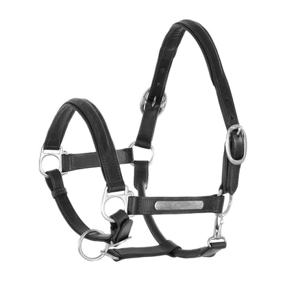 LEATHER HALTER WITH BRASS NAMEPLATES.