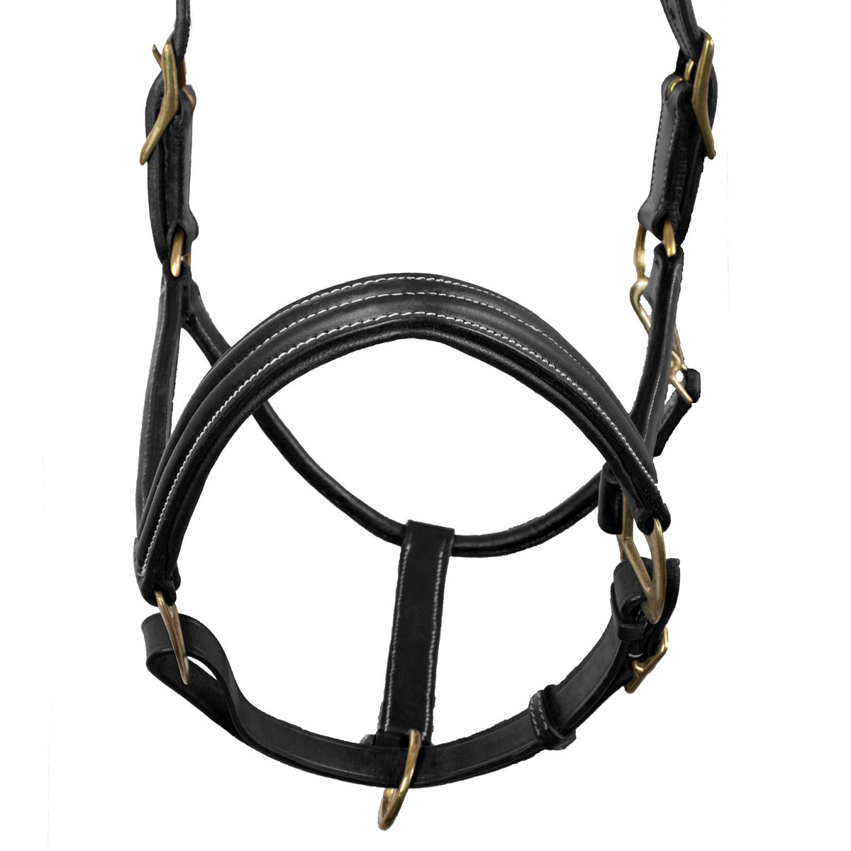 SUPREME TRIPLE LEATHER HALTER
