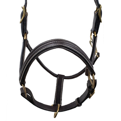 SUPREME TRIPLE LEATHER HALTER