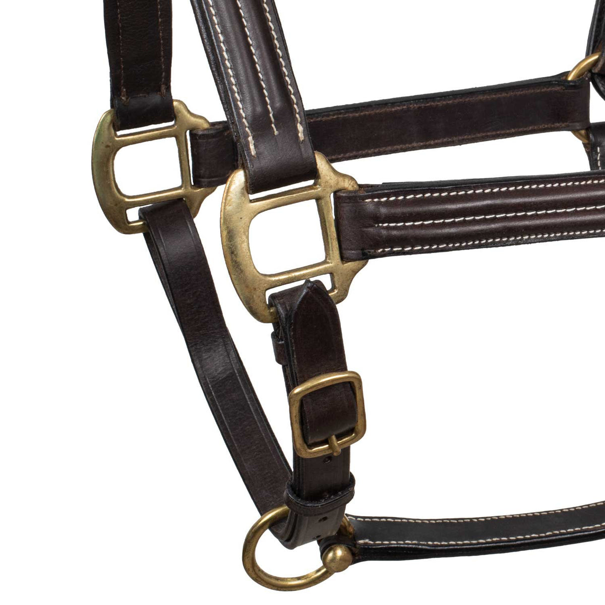 SUPREME TRIPLE LEATHER HALTER