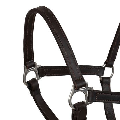 SWEDISH LEATHER HALTER