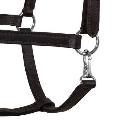 SWEDISH LEATHER HALTER