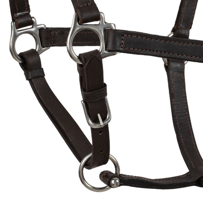 SWEDISH LEATHER HALTER