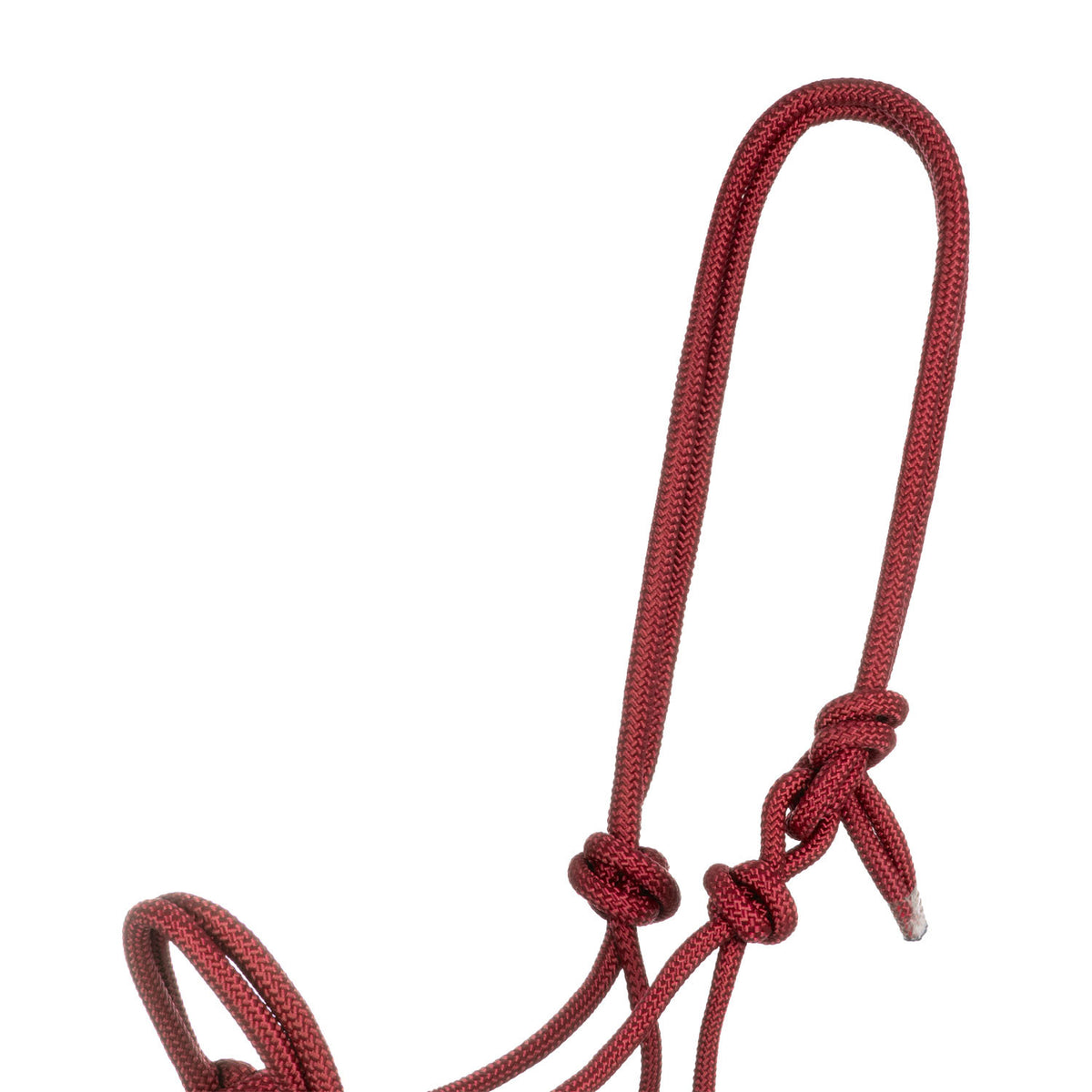 Pool&