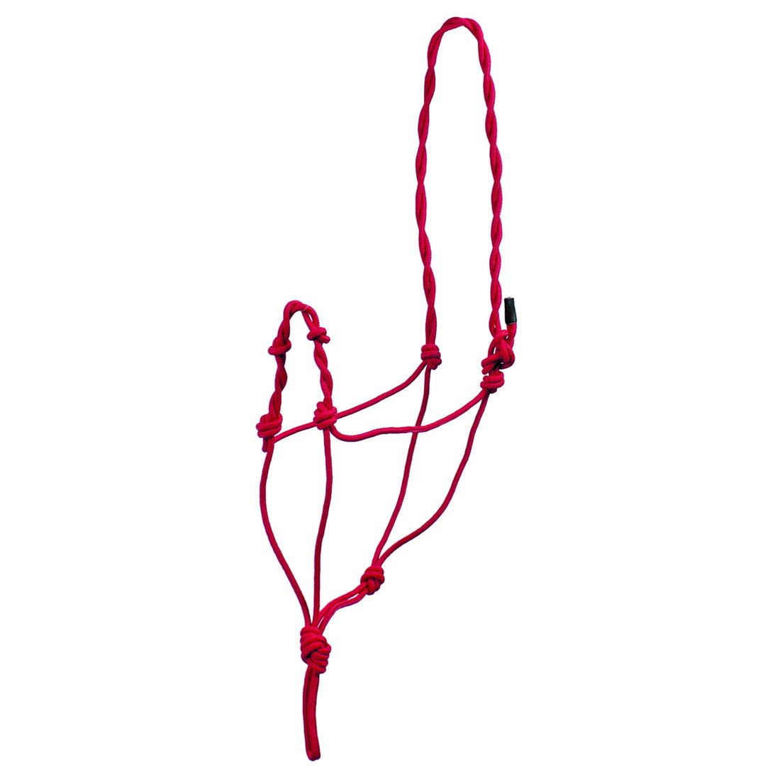BRAIDED KNOT HALTER.