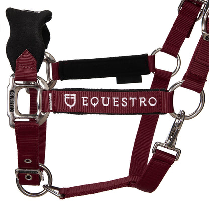 Halter with double adjustment and lead rope