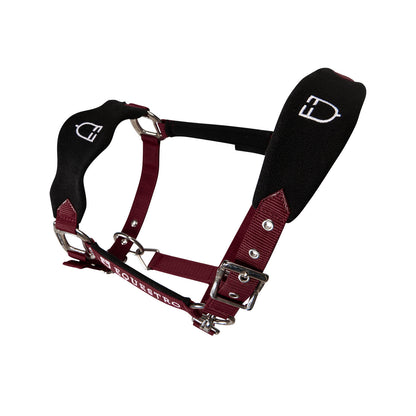Halter with double adjustment and lead rope