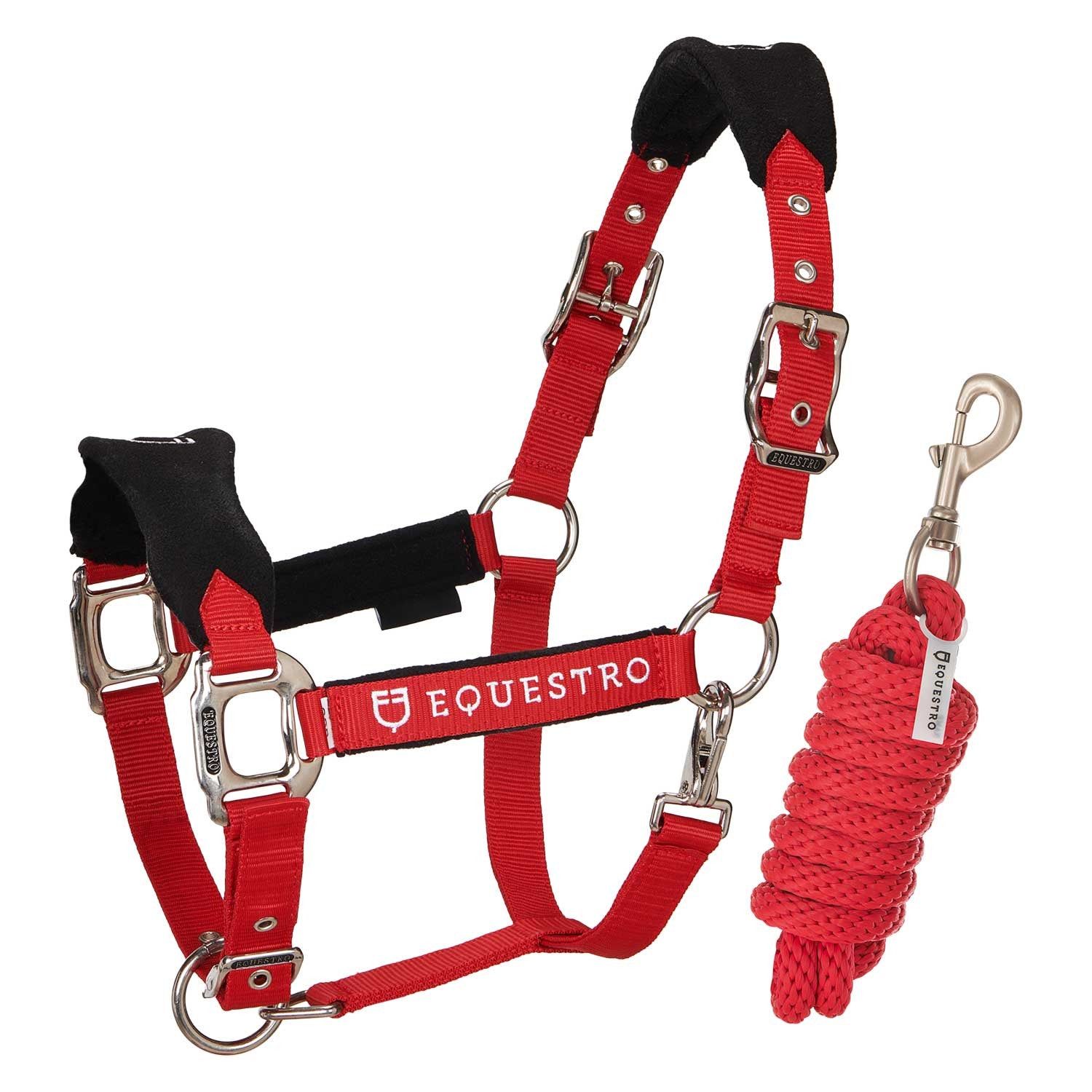 Halter with double adjustment and lead rope.