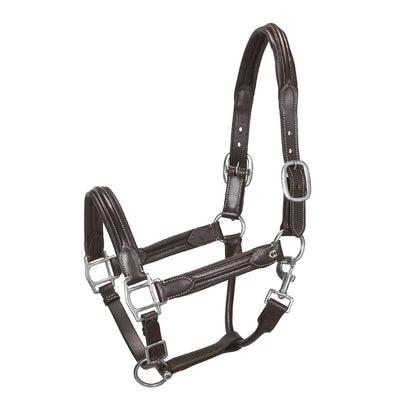 Soft leather halter with durable buckles.