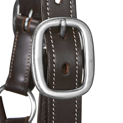 Soft leather halter with durable buckles