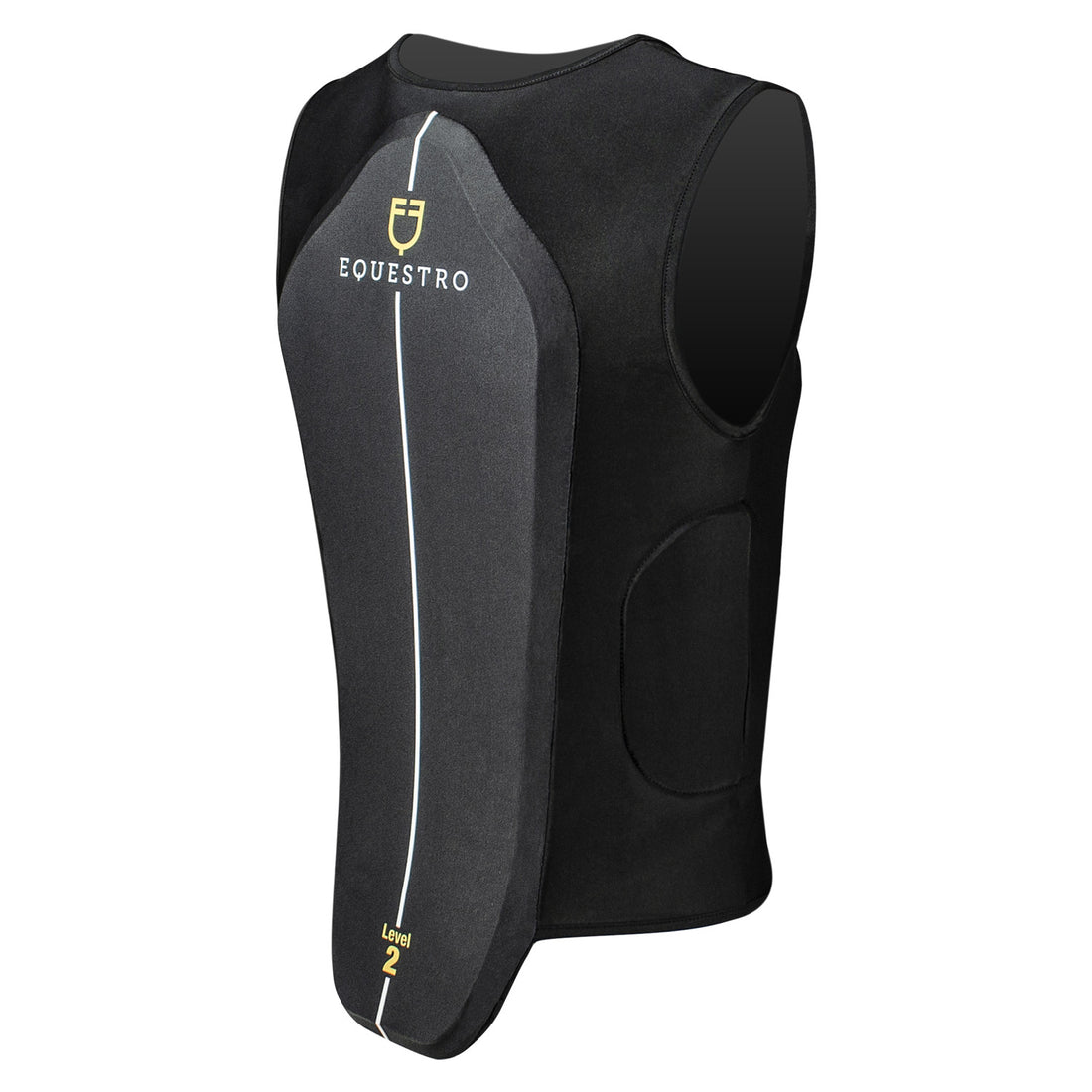 Adult level 2 back protector.