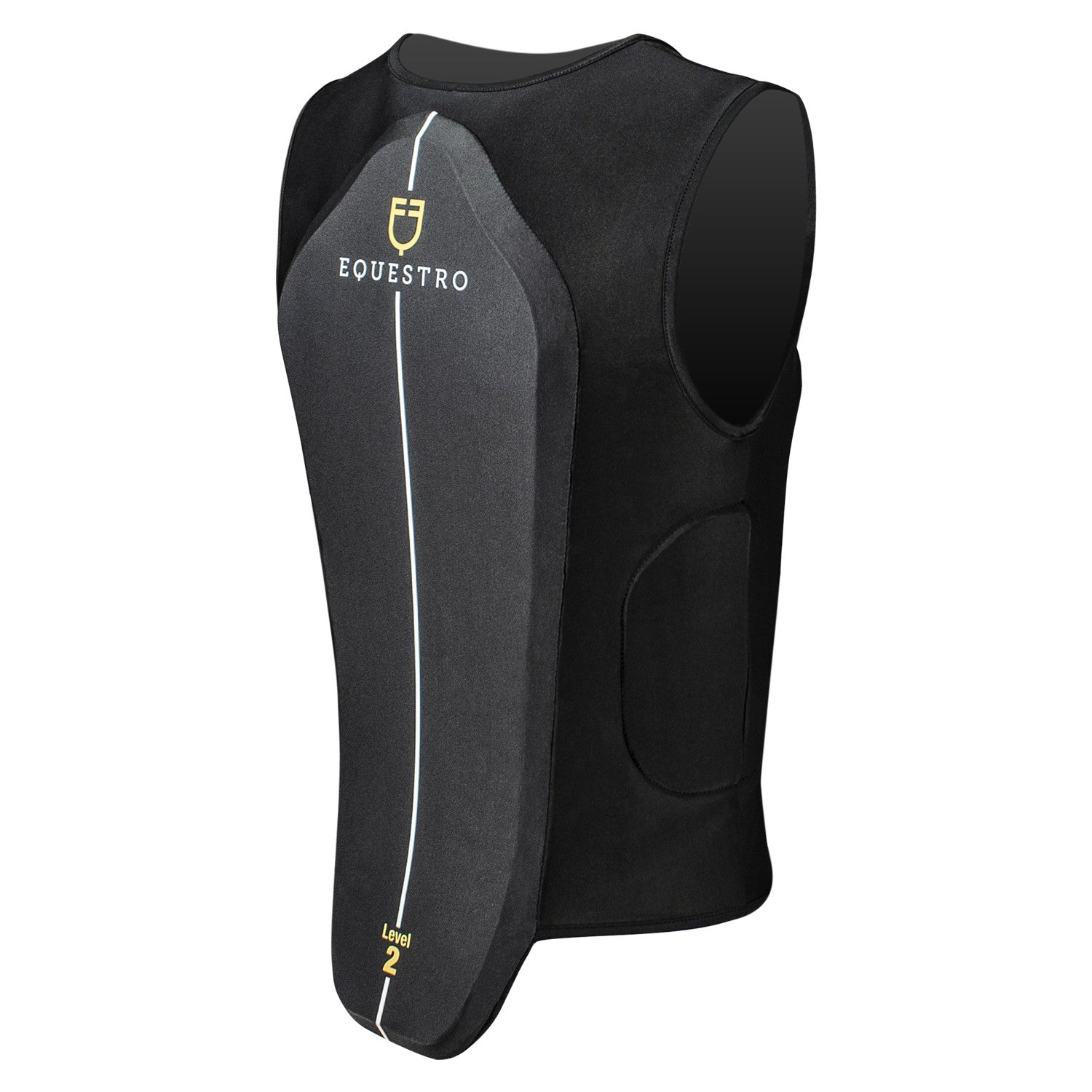 Adult level 2 back protector.