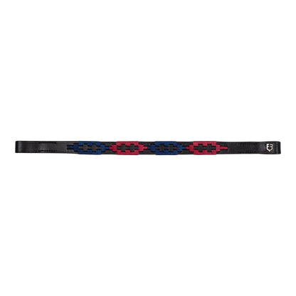 Leather browband with two-tone decorations.