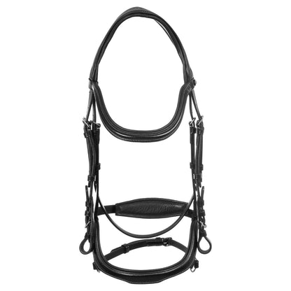 Anatomical bridle contrast stitching
