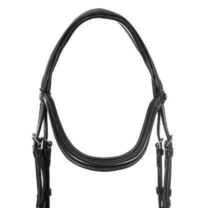Anatomical bridle contrast stitching