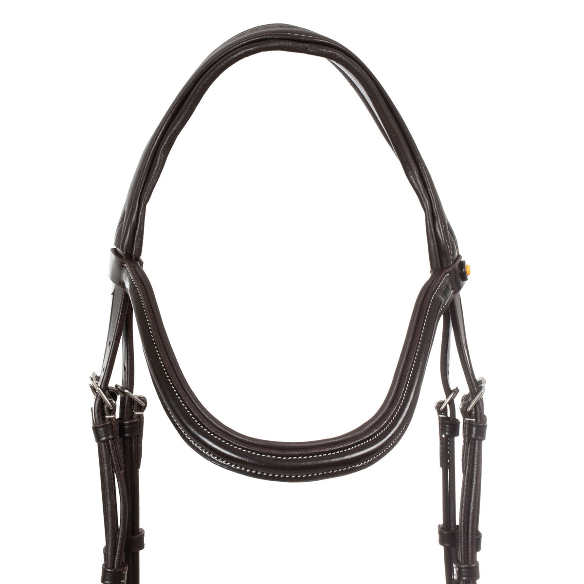 Anatomical bridle contrast stitching