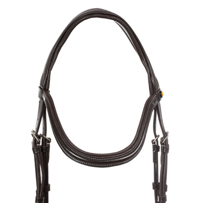 Anatomical bridle contrast stitching