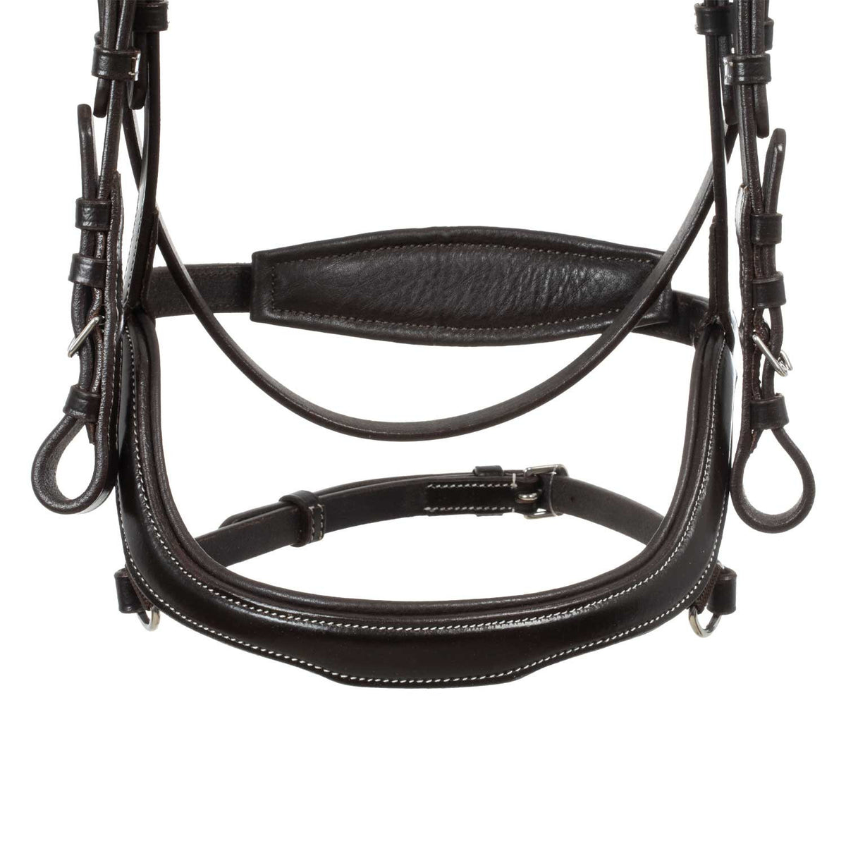 Anatomical bridle contrast stitching