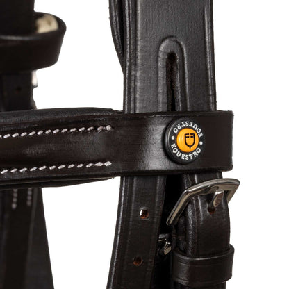 Anatomical bridle with logo