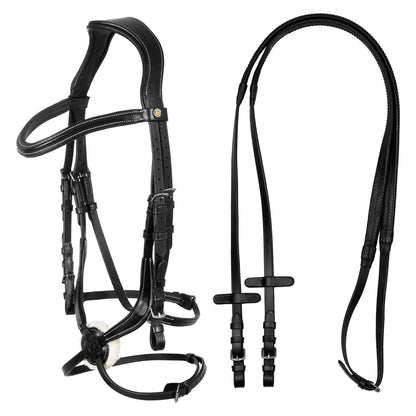 Mexican leather bridle.