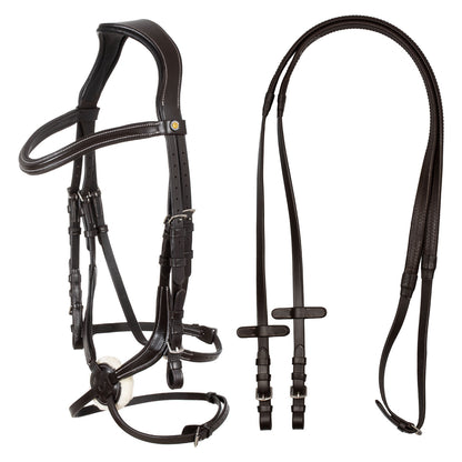 Mexican leather bridle.