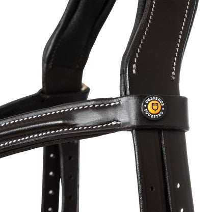 Mexican leather bridle