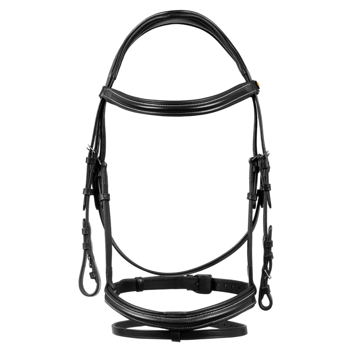 Raised and padded anatomical bridle