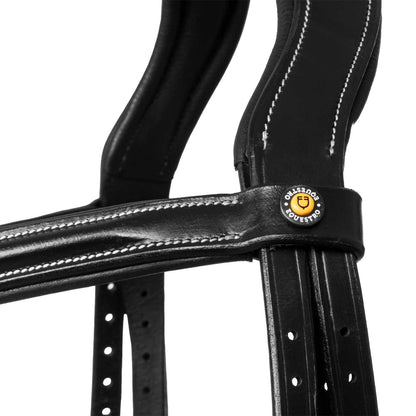 Raised and padded anatomical bridle