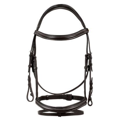 Raised and padded anatomical bridle