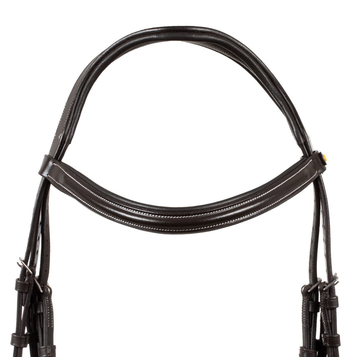 Raised and padded anatomical bridle