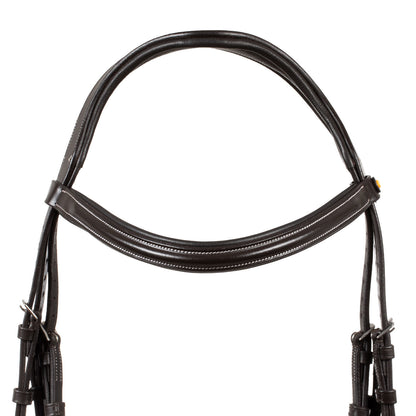 Raised and padded anatomical bridle