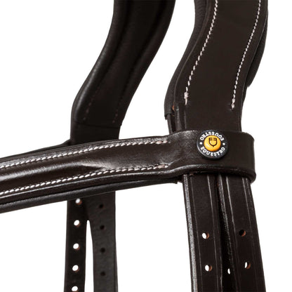 Raised and padded anatomical bridle