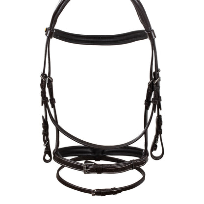 Raised and padded anatomical bridle