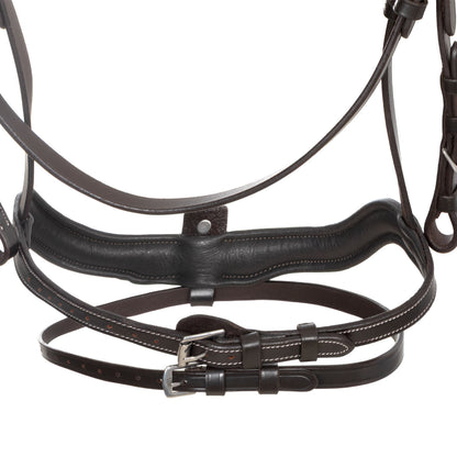 Anatomical bridle with curved noseband