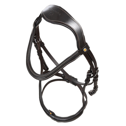 Anatomical bridle with curved noseband