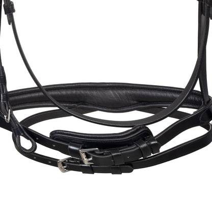 Anatomical bridle with fuchsia rhinestones
