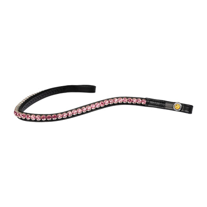 Stones Concept leather browband.