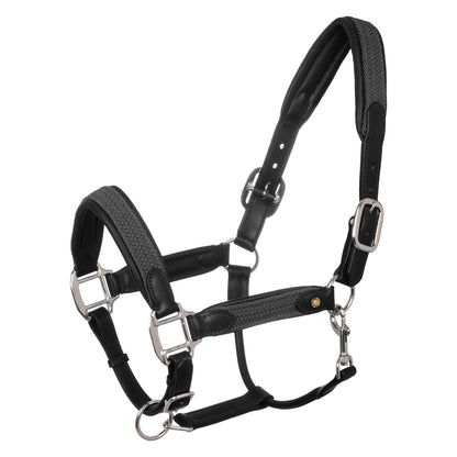 Leather halter with braided nylon inserts.