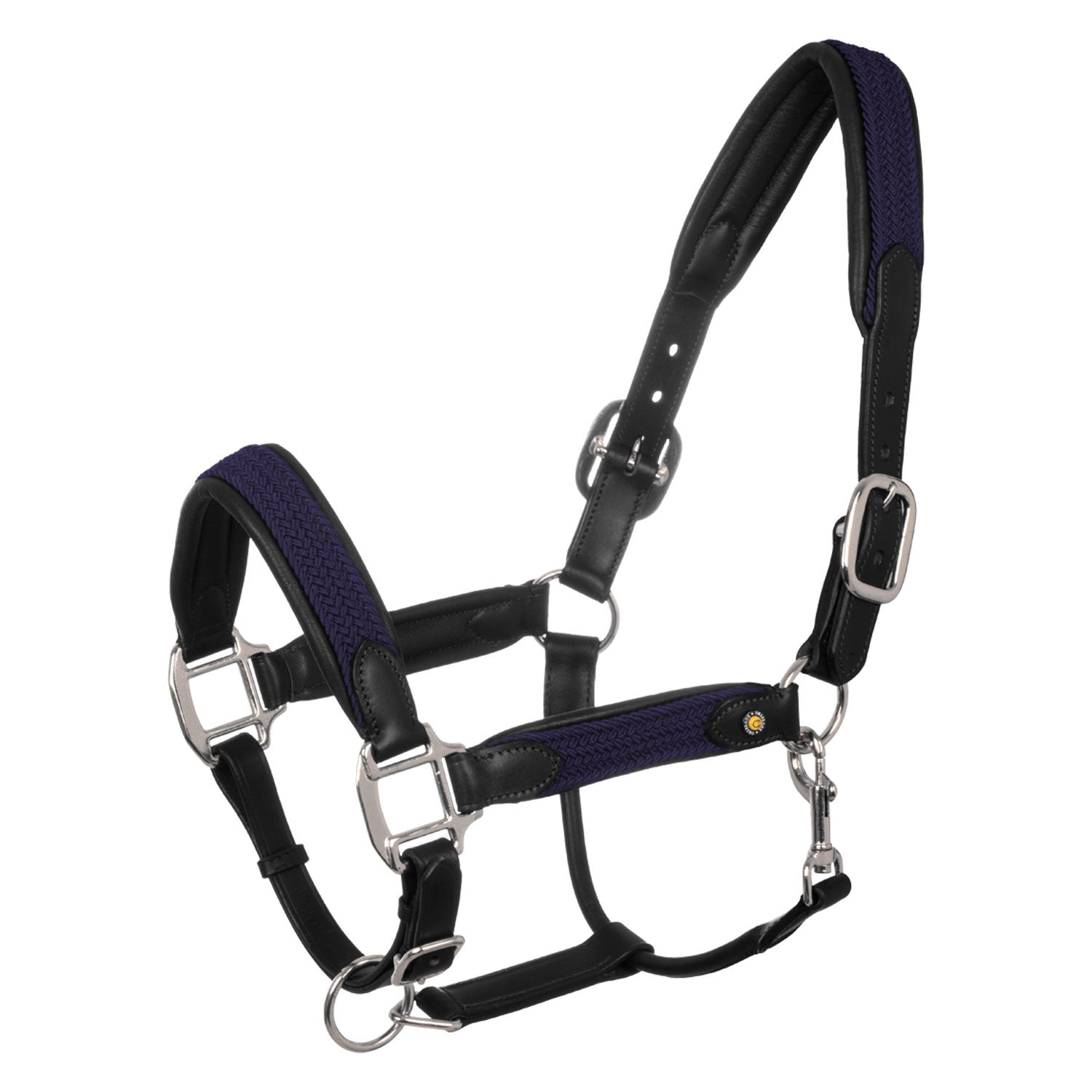 Leather halter with braided nylon inserts.