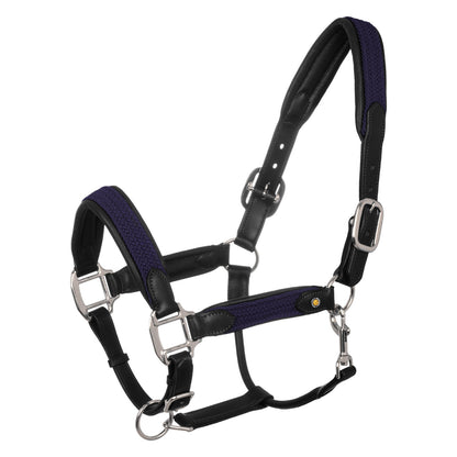 Leather halter with braided nylon inserts.