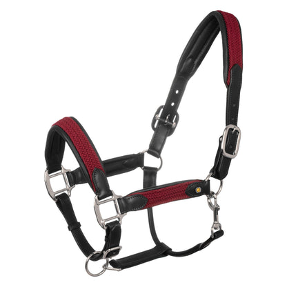 Leather halter with braided nylon inserts.