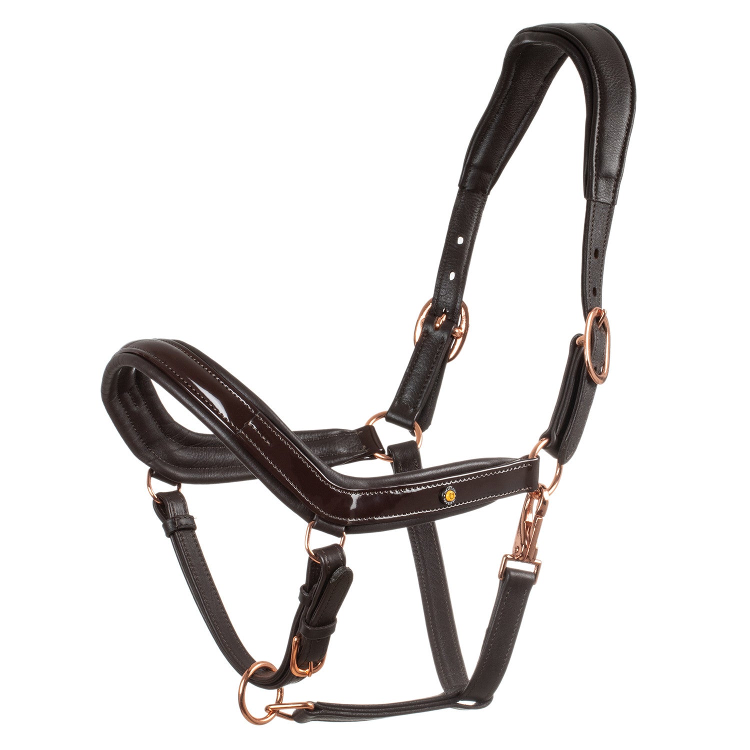 Polished leather halter with rose gold buckles.