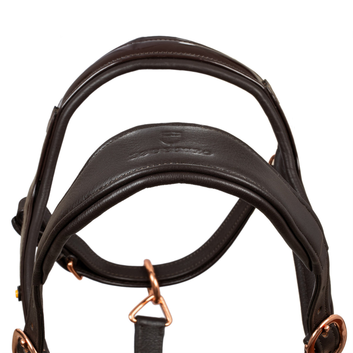 Polished leather halter with rose gold buckles