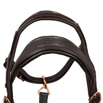 Polished leather halter with rose gold buckles