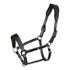 Leather halter with glittery piping.