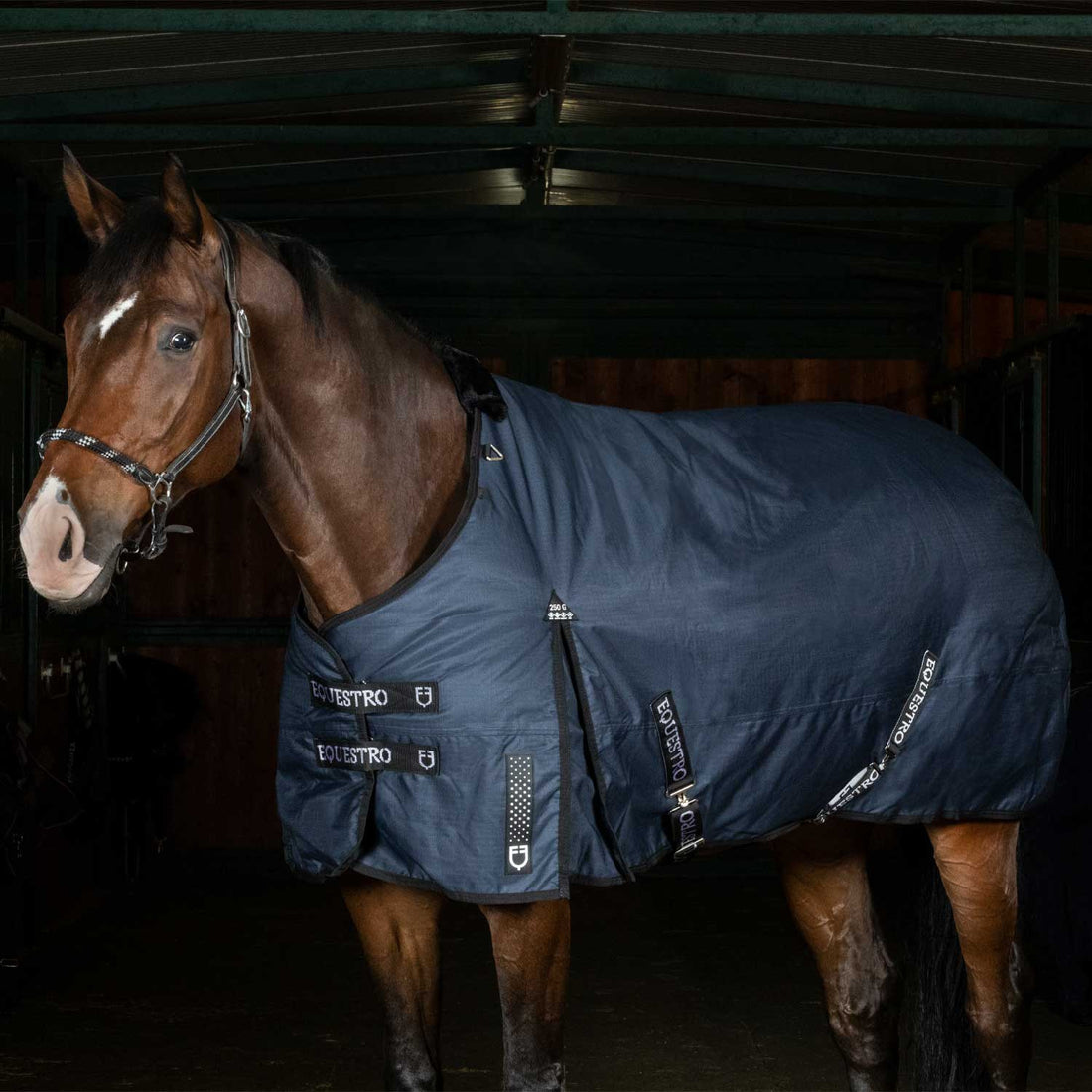Nevada 250 gr turnout rug in rip-stop fabric.
