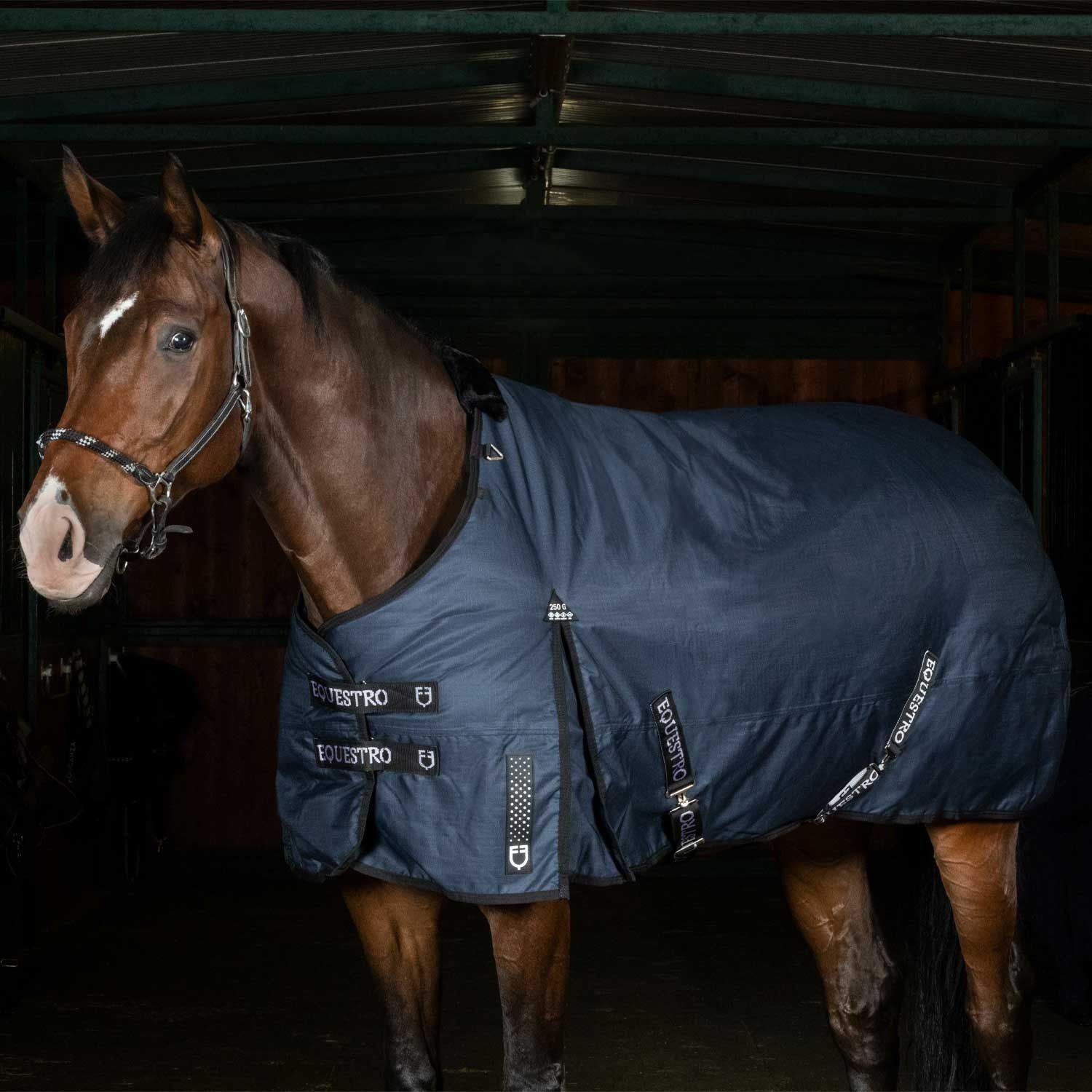 Nevada 250 gr turnout rug in rip-stop fabric.