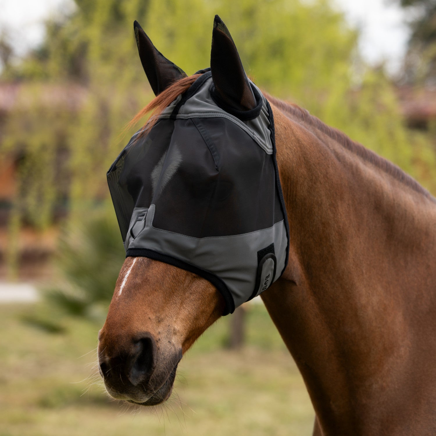 Fly mask with front logo.